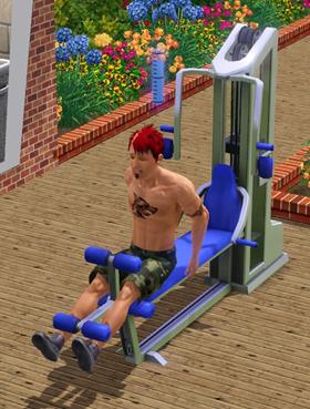 sim brother weight training weights