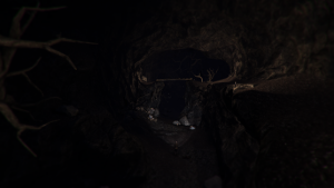 Through the Woods Screenshot 2 survival horror dahl darkness forest old eric