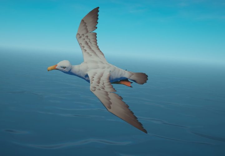 Raft Seagull Image