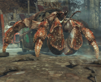 hermit crab far harbour fallout 4