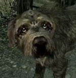 Dog as Skyrim Companion Meeko