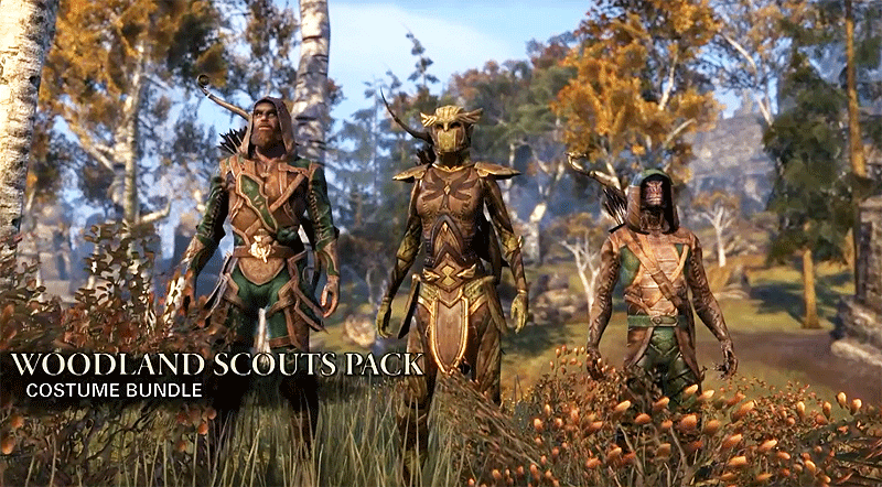 eso woodland scouts costumes