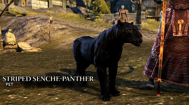 eso pet panther