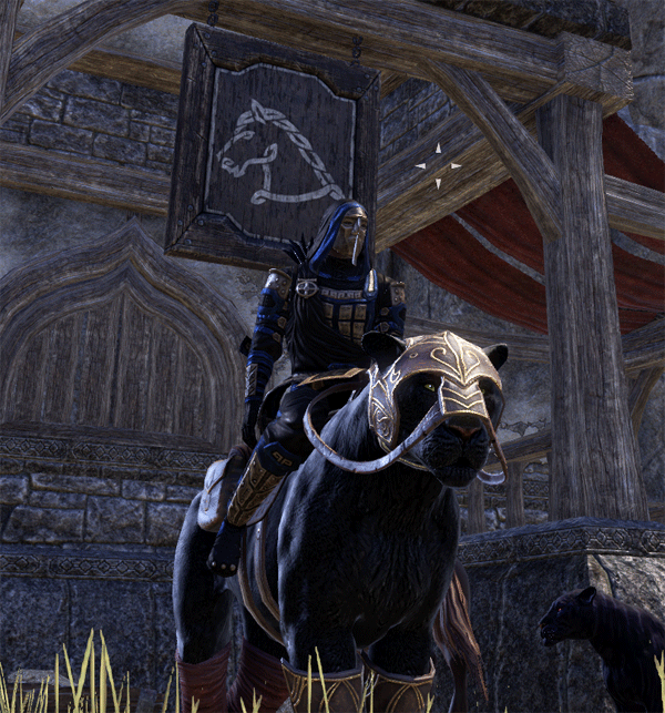Players can now train their mounts via the ESO Crown Store.