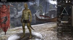 Elder Scrolls Online Character Creation 2