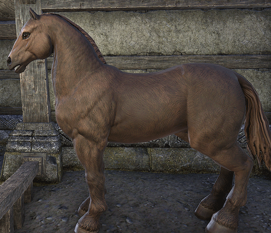 Elder Scrolls Online common horse