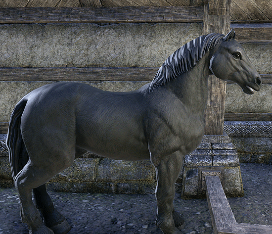 Elder Scrolls Online gaited horse