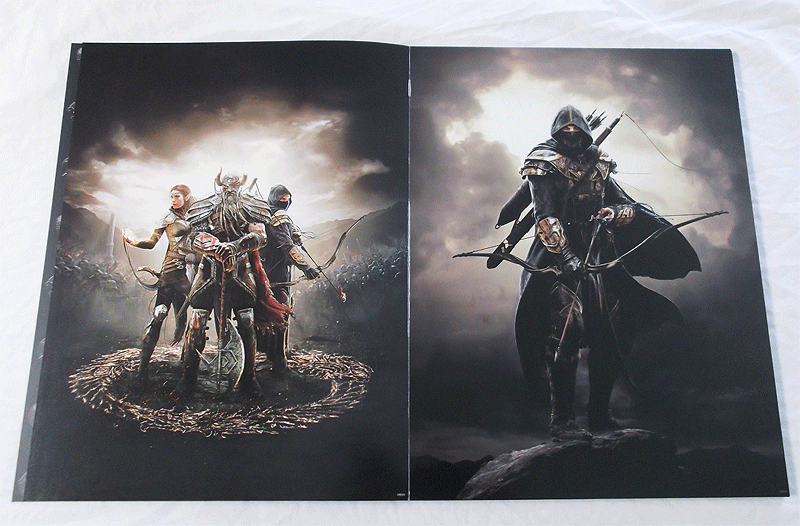 The Elder Scrolls Online: The Poster Collection 4