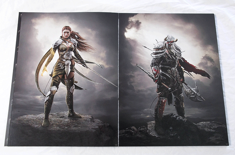 The Elder Scrolls Online: The Poster Collection 5