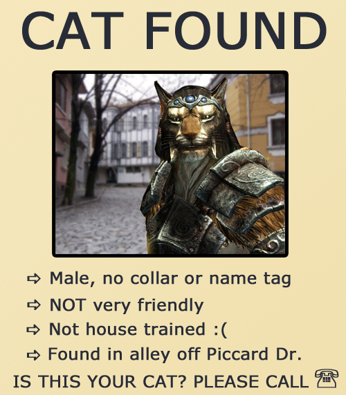 Skyrim-Meme-Cat-Found