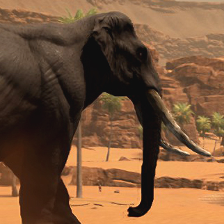 desert biome icarus wildlife animals elephant