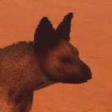 desert biome icarus wildlife animals hyena