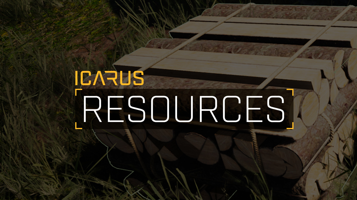 Icarus Resource Class Guide