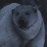 icarus polar bears threat management
