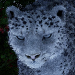 icarus snow leopards threat management