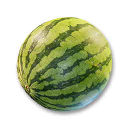 item watermelon