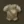 damage negation icon eldenring