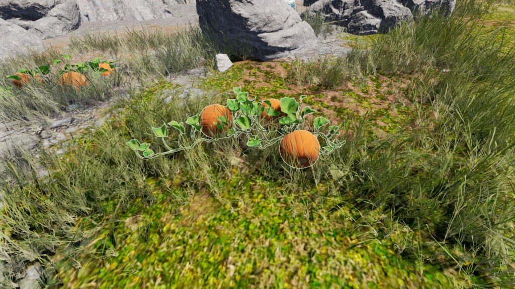 icarus pumpkin plant