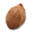 item coconut mature