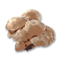 item mushroom (1)
