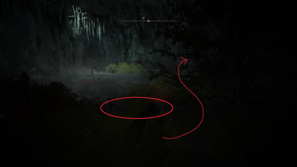 murkwater cave safe path to patches elden ring