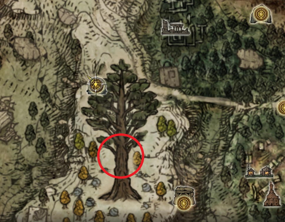 weeping peninsula erdtree avatar location elden ring