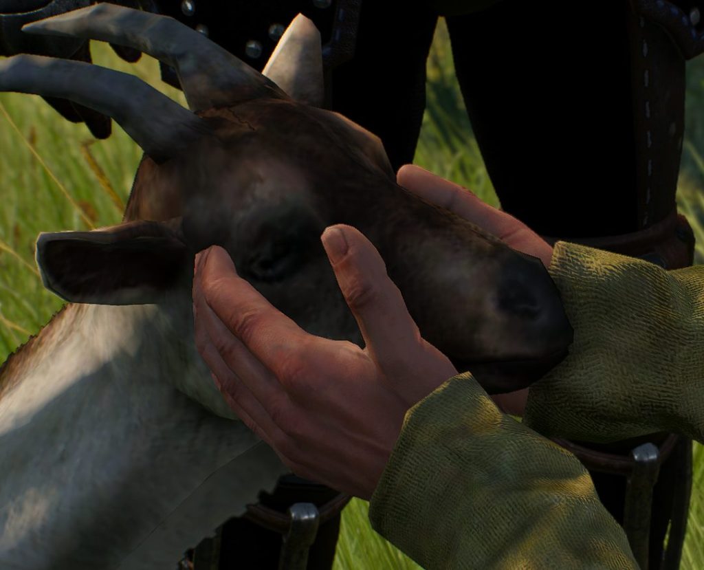 A picture of the goat being held by the pellar in the Witcher 3.