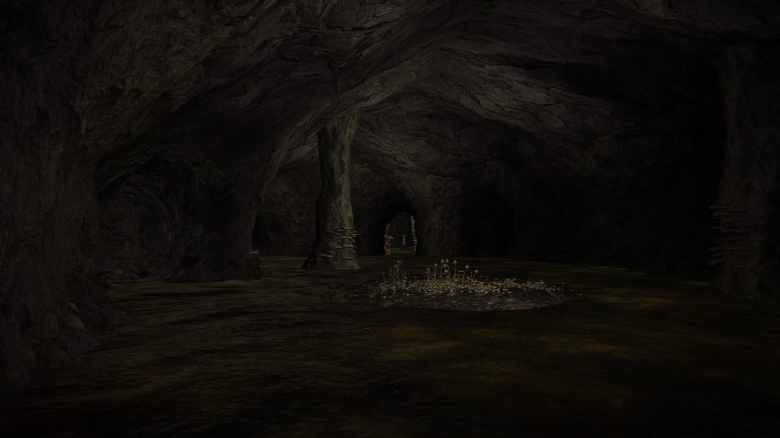 Seethewater Cave Dungeon Walkthrough - Elden Ring - EIP Gaming