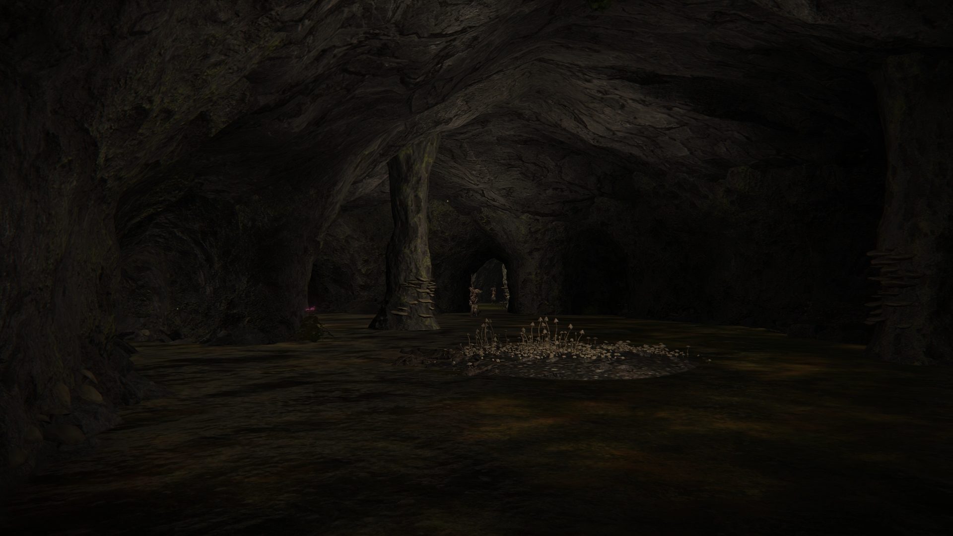seethewater cave dungeon featured image elden ring
