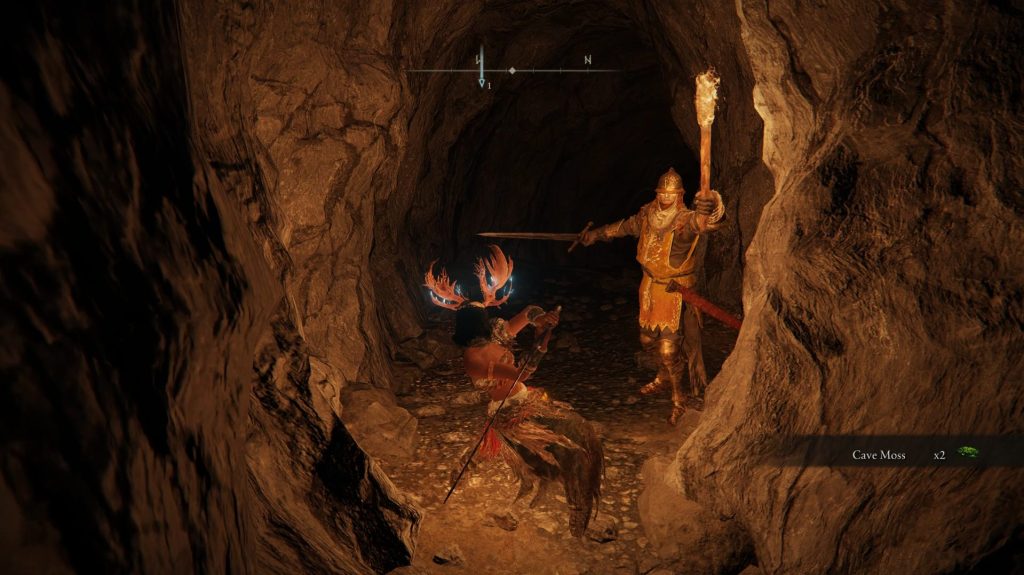 seethewater cave patrolling soldier elden ring