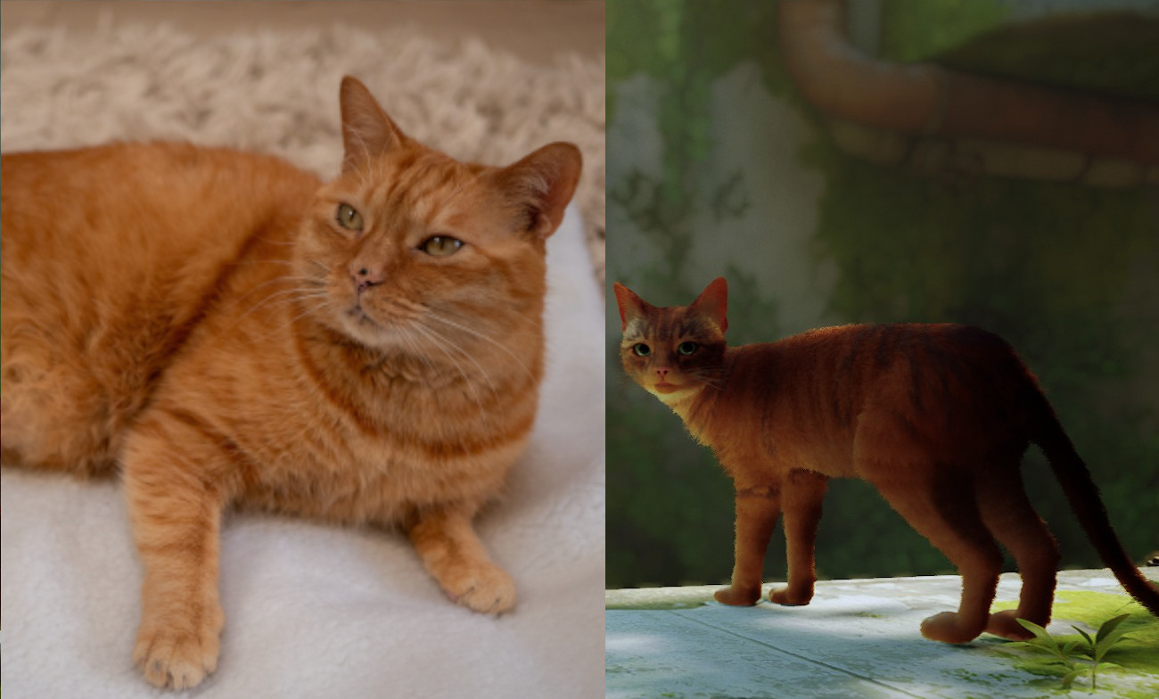 Meet the real cats that inspired Stray's feline hero