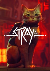 stray news & guides