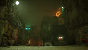 the slums featured image stray
