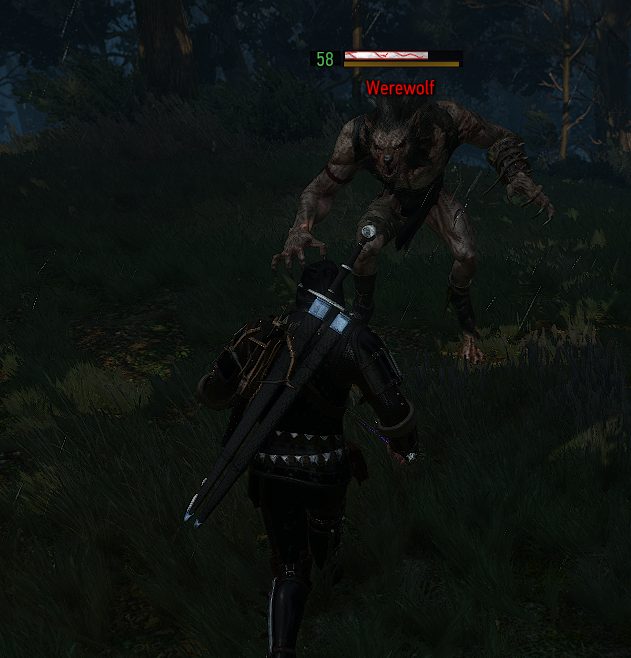 Battling a werewolf in The Witcher 3