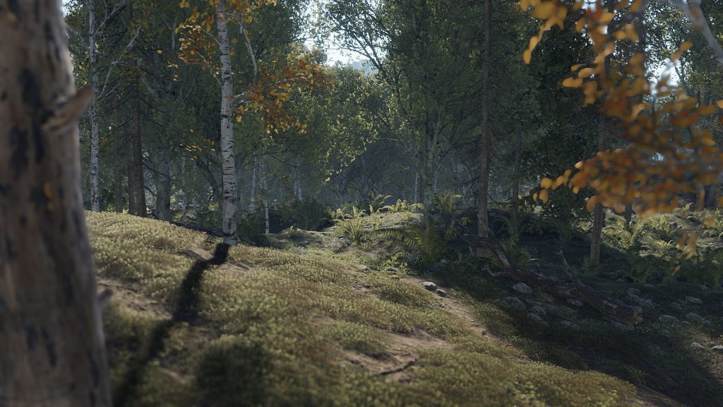 screenshots for rust general background forest