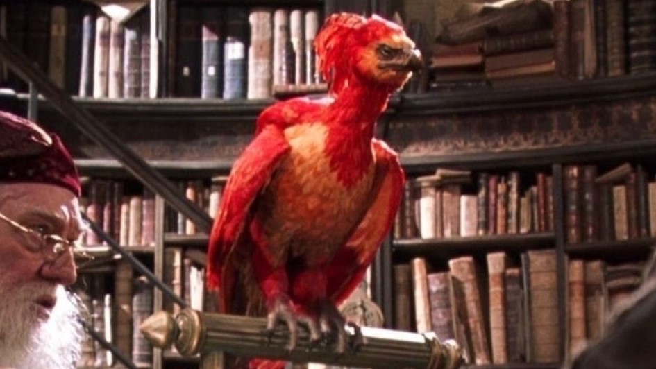 hogwarts legacy beast phoenix