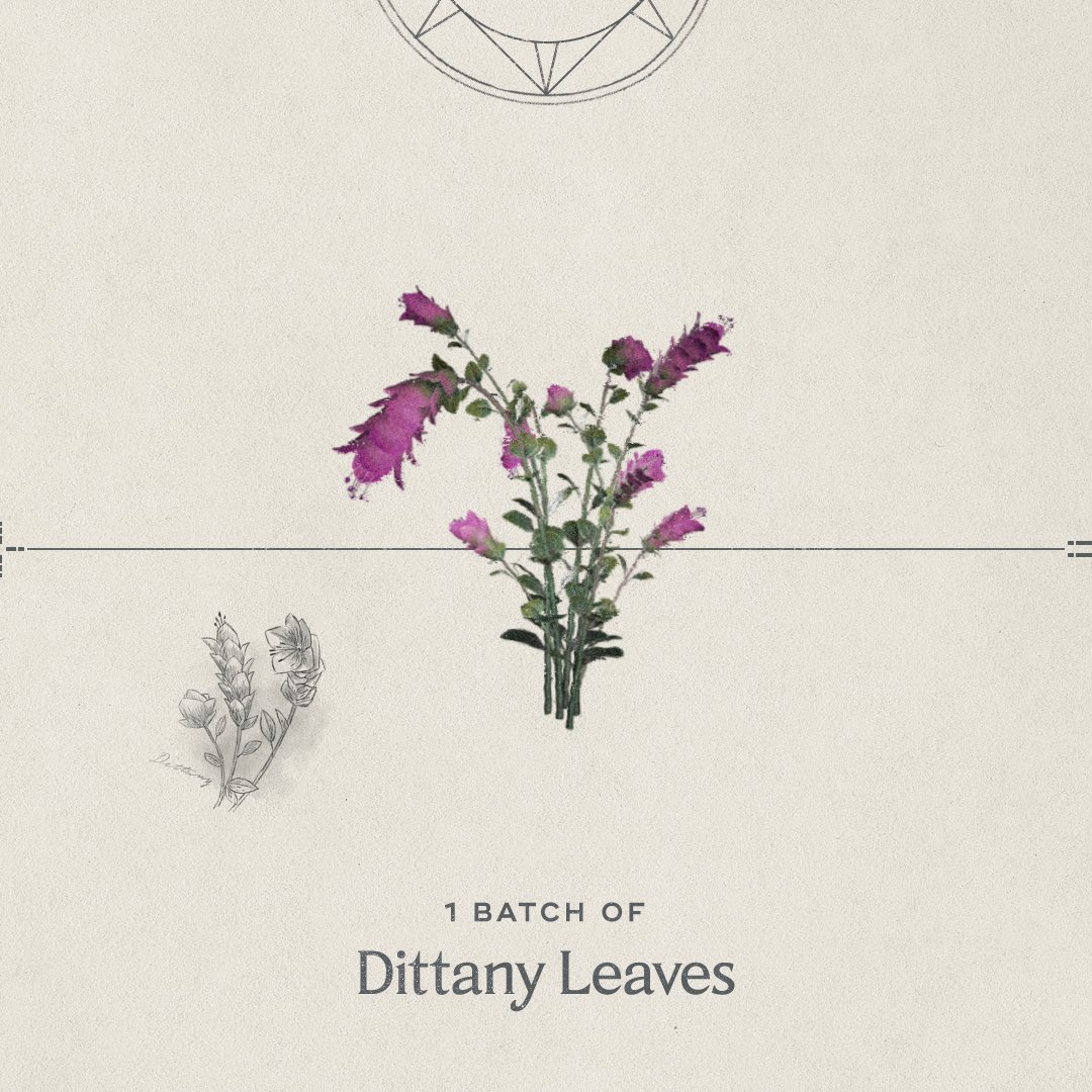How to obtain Dittany Leaves in Hogwarts Legacy?
