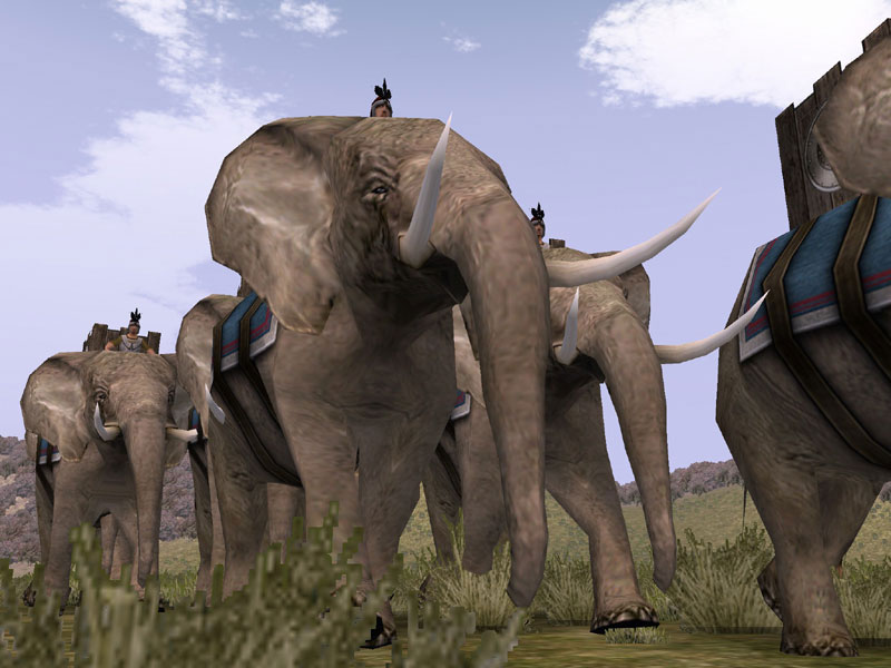 Elephants in Rome: Total War
