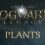 Plants – Hogwarts Legacy