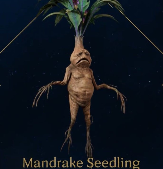 hogwarts legacy plants mandrake