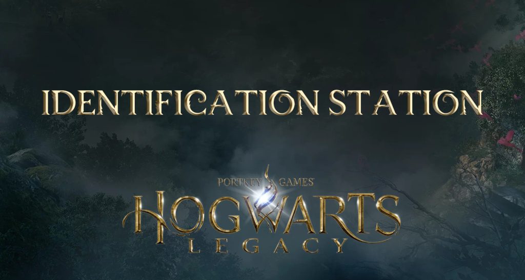 identification station (desk of description) hogwarts legacy