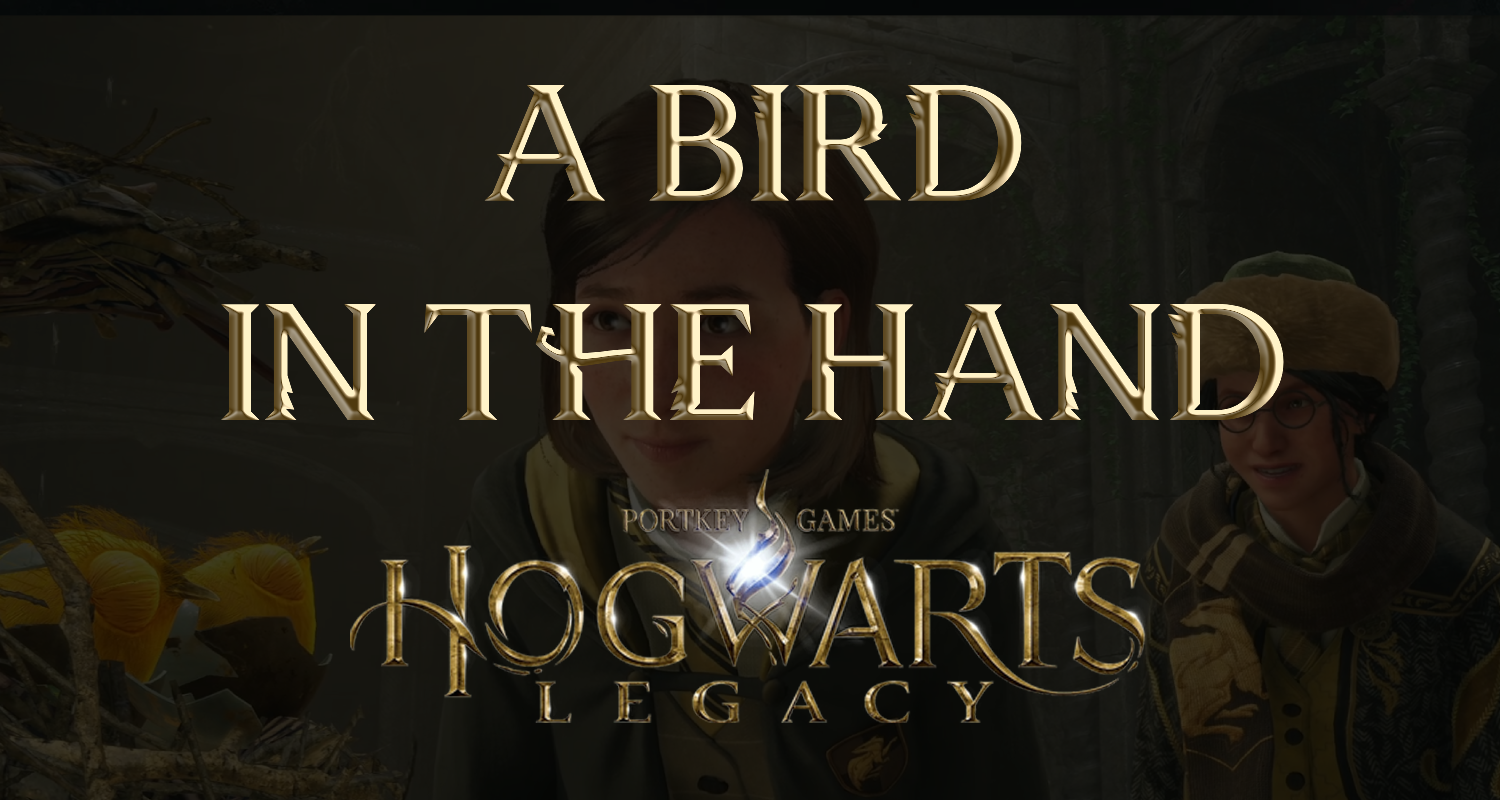 Hogwarts Legacy: How to complete A Bird in the Hand puzzle