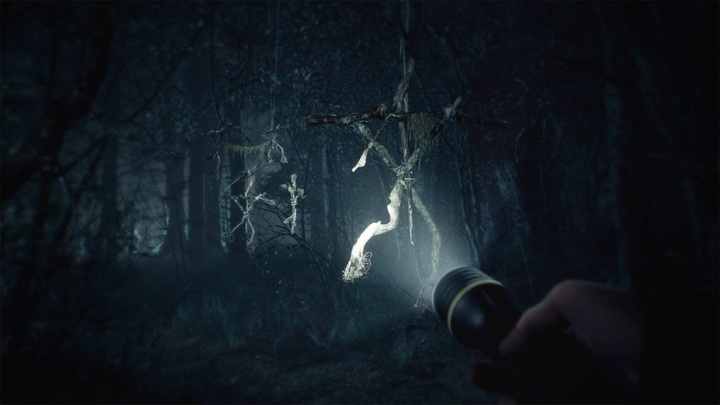 Photorealistic gameplay from Blair Witch (2019). The player stands in the middle of a blue-tinted, dark forest. It's hard to see much, but the player is holding a flashlight. Its beam illuminates Blair Witch stick dolls- four sticks crudely tied together in an approximation of a stick figure. 