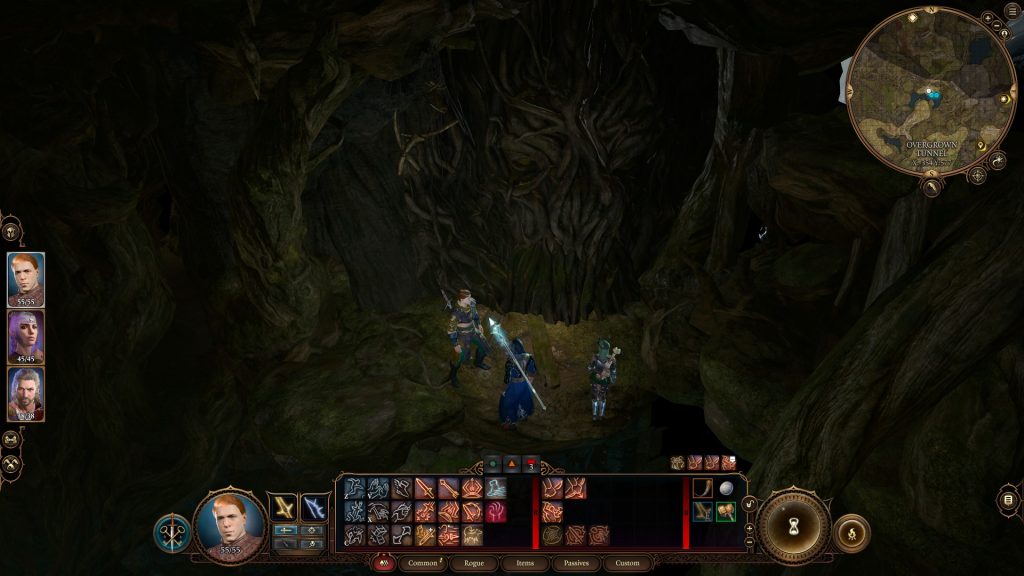 bg3 overgrown tunnel bugged door there