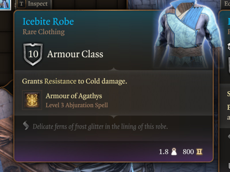 baldurs gate 3 screenshot reithwintown icebitrobe