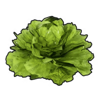 palworld item lettuce