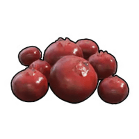 palworld item red berries
