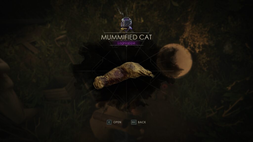 alone in the dark lagniappe mummified cat featured image