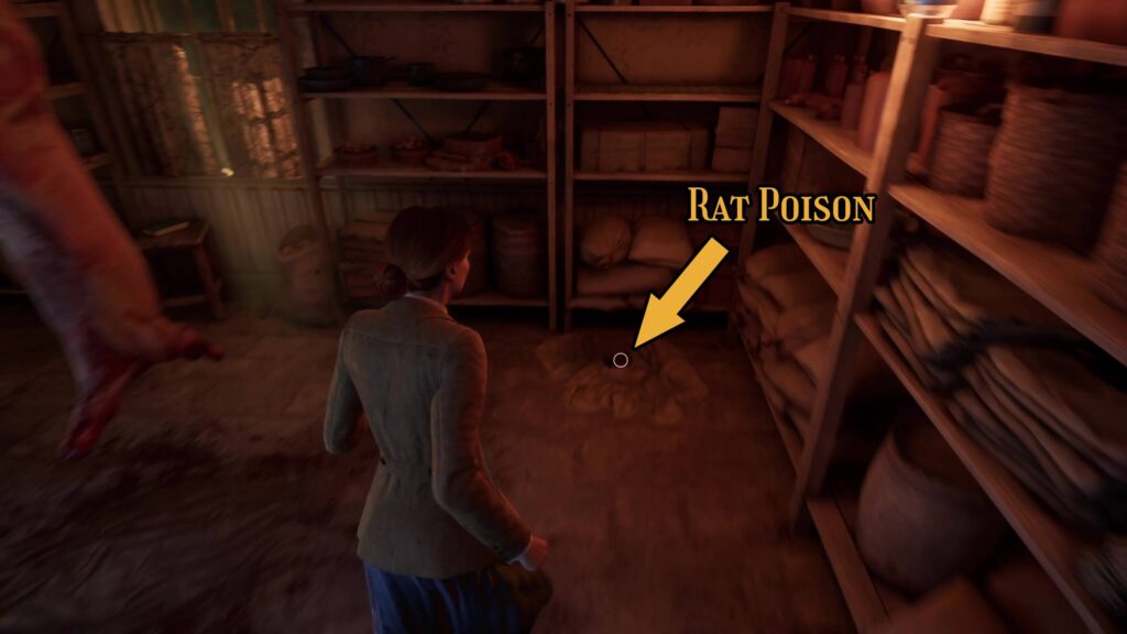 alone in the dark rat poison lagniappe in game v1