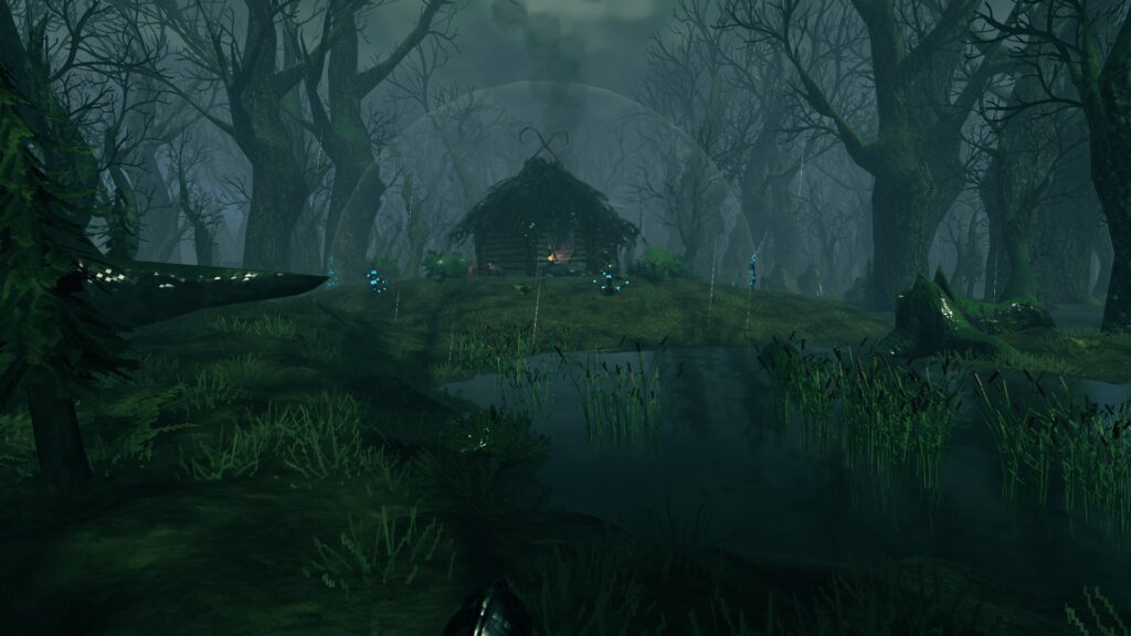 valheim bog witch force field